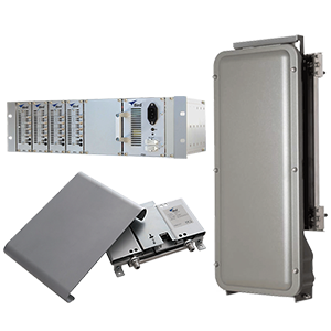 1607415676600977.png Bird.png