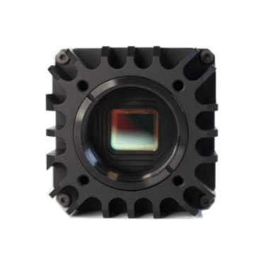 1608710395977268.png WiDy SenS.png