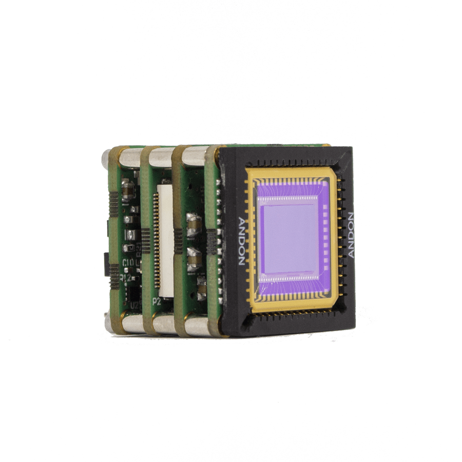 1610094835904716.png WiDy NaNo.png